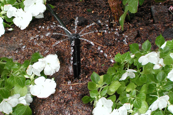 Shrubbler Spike in Garden