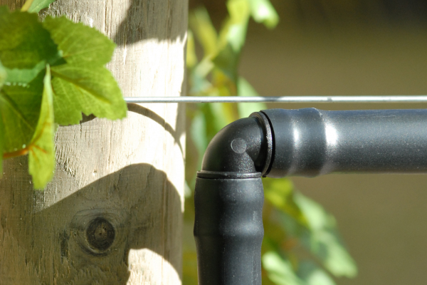 DB Elbow Vines