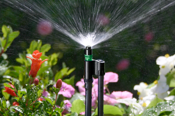 Micro Spray Stake Assembly